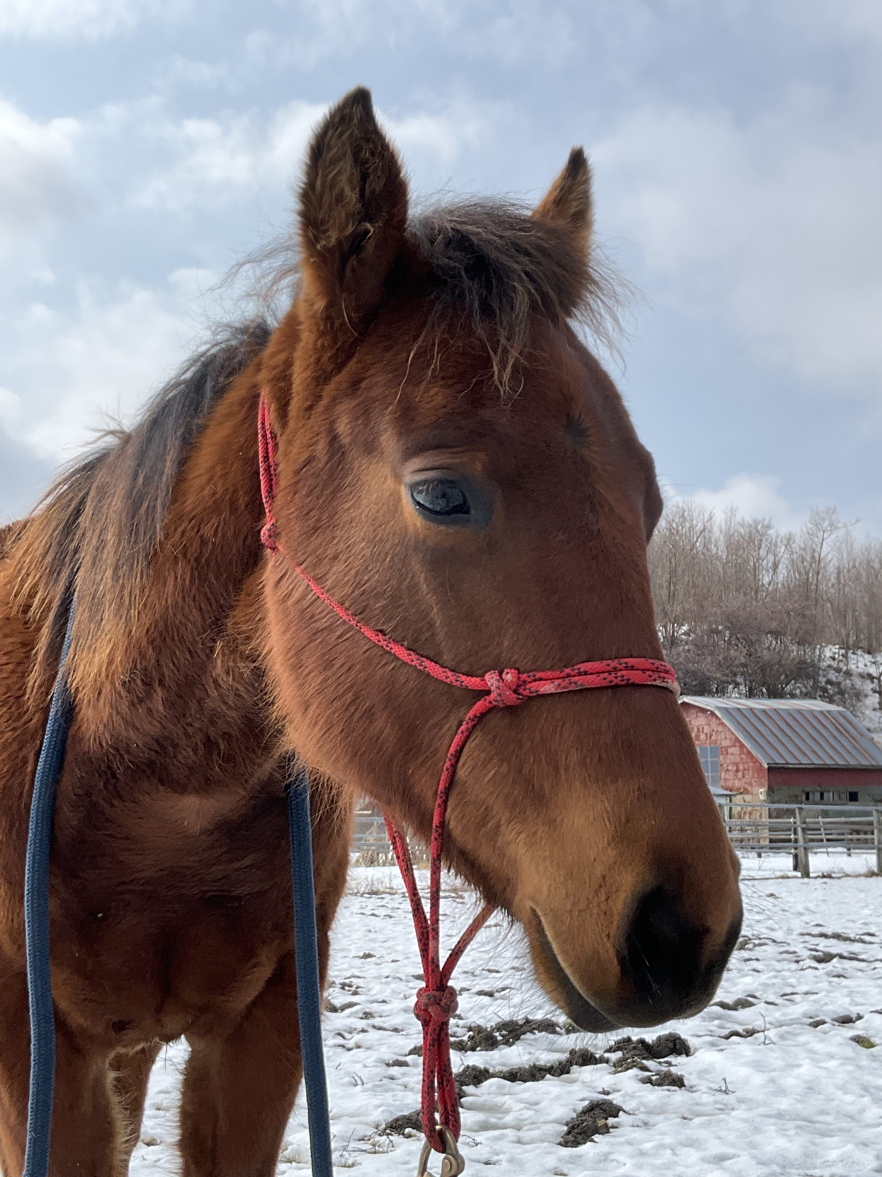 ���N�̊��x